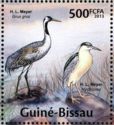 Common Crane (Grus grus), Black-crowned Night-heron (Nyctico